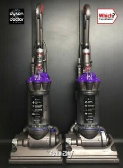 Dyson Dc33 Animal- Fully Refurbished- Vacuum Cleaner- 2 Year Guarantee