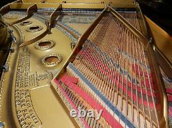 Steinway Model A Grand Piano Made Around 1900. 5 Year Guarantee