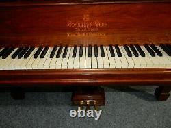 Steinway Model B Grand Piano Made Around 1900. 5 Year Guarantee