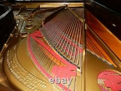 Steinway Model B Grand Piano Made Around 1900. 5 Year Guarantee