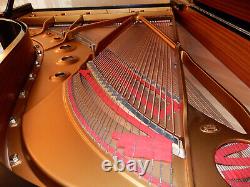 Steinway Model B Grand Piano Made In 2017. High Gloss Black 5 Year Guarantee