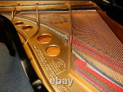 Steinway Model O Grand Piano Refurbished. 5 Year Guarantee