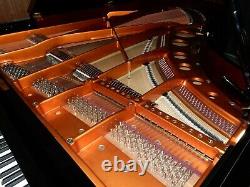 Bösendorfer 225 Grand Piano Made En 2003. 5 Ans De Garantie. Équilibreuses