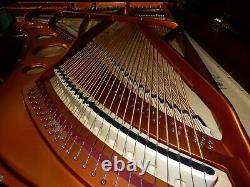 Bösendorfer 225 Grand Piano Made En 2003. 5 Ans De Garantie. Équilibreuses
