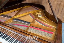 Petrof Grand Piano Modèle V. Garantie De 5 Ans. Fait Vers 1990