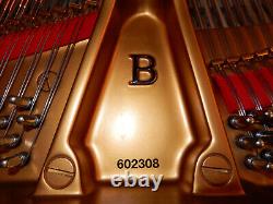 Piano à queue Steinway modèle B fabriqué en 2017. Noir laqué brillant. Garantie de 5 ans.