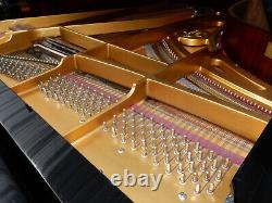 Schimmel 208 Grand Piano. Garantie De 5 Ans. Environ 35 Ans