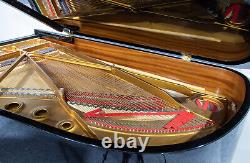 Steinway Modèle B Grand Piano. Environ 30 Ans Garantie De 5 Ans