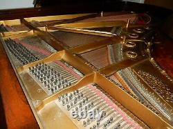 Steinway Modèle B Grand Piano Made Autour 1900. 5 Ans De Garantie