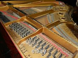 Steinway Modèle Un Piano À Queue Fabriqué Vers 1900. Garantie De 5 Ans