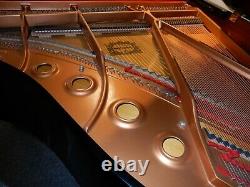 Yamaha C1 Piano À Queue À Seulement 19 Ans. Garantie De 5 Ans