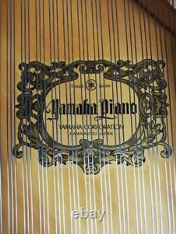 Yamaha C3 Piano À Queue 100% Perfect Condition 10 Ans Garantie Little & Lampert