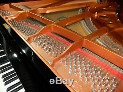 Yamaha C3x Sh2 Silencieux Grand Piano 1 Year Old 5 Ans De Garantie. 0% Finance