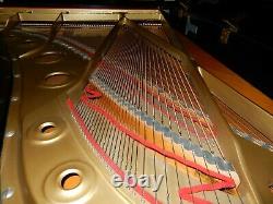 Yamaha C7 Grand Piano. Fait En 1980. 5 Ans De Garantie. 0% Équilibreuses